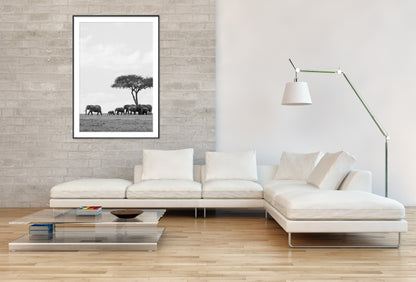 Black and White African Elephants with Tree - Gallery Frames