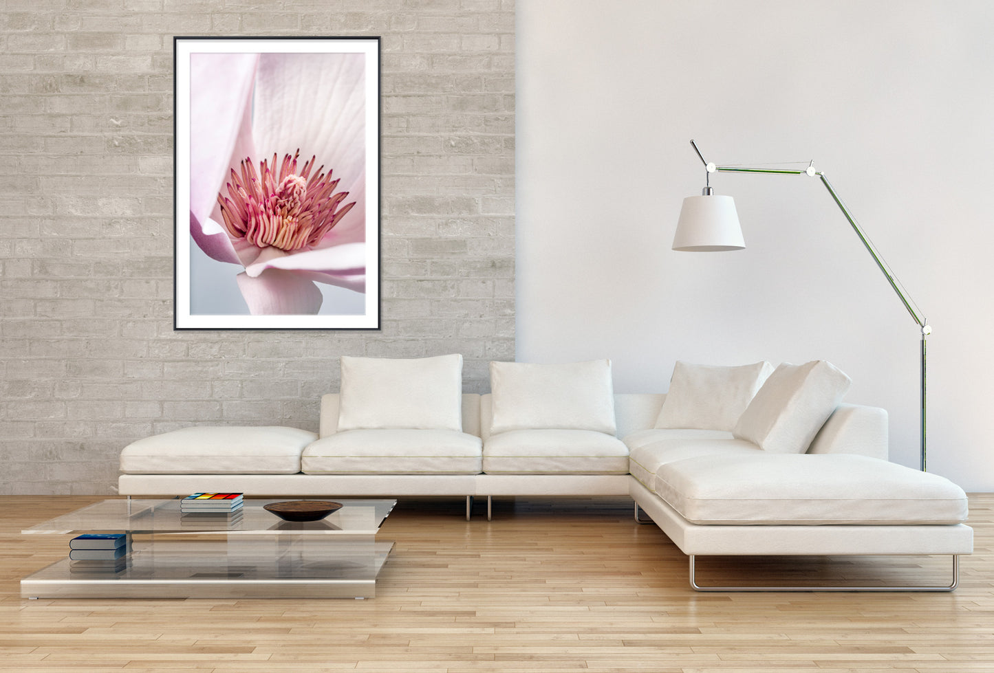 Magnolia lilliflora flower I- Gallery Frames