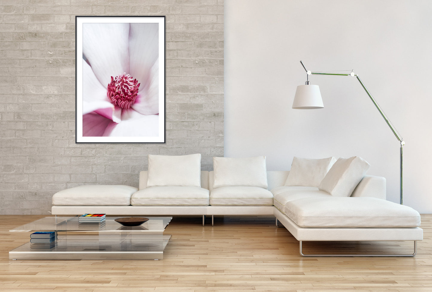 Magnolia lilliflora flower II- Gallery Frames