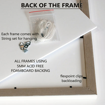 3-in-1 Photo Frame - 5x7" Windows