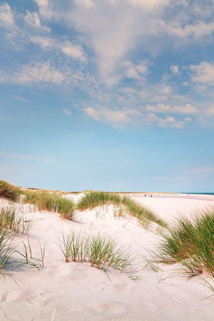 Dune landscape on the beach I - Gallery Frames