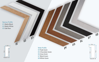 Black and White Fan Palm Frond - Gallery Frames