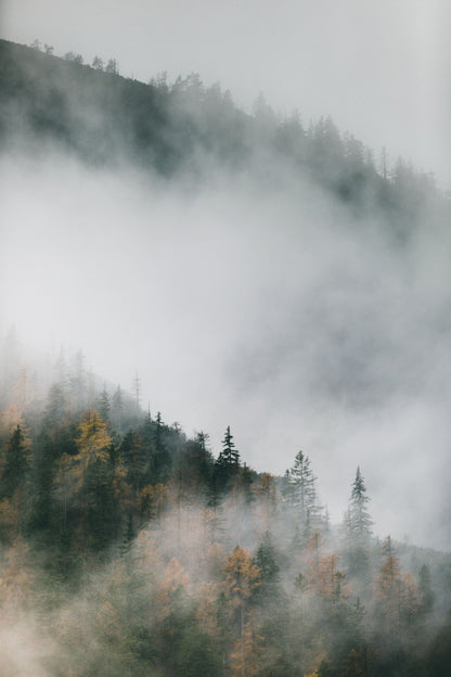 Misty Morning, autumn, the Dolomites II- Gallery Frames