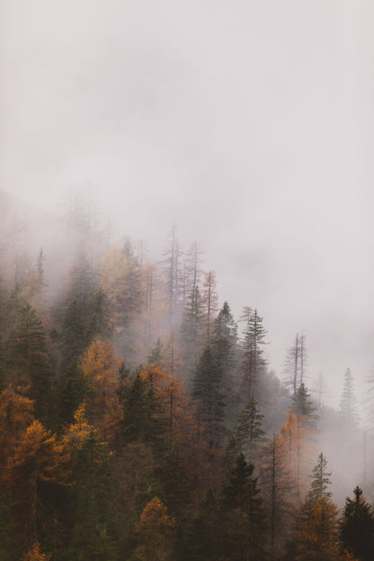 Misty Mountain, autumn, the Dolomites- Gallery Frames