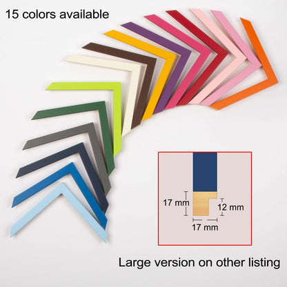 Colour Photo frame (Small), 14 bright colors, A4, A3, A2, A1 size, foamboard backing